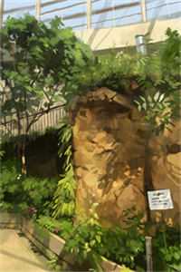 小说陆与洲陆与洲