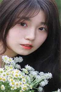 光遇之最后曙光小说全文免费阅读