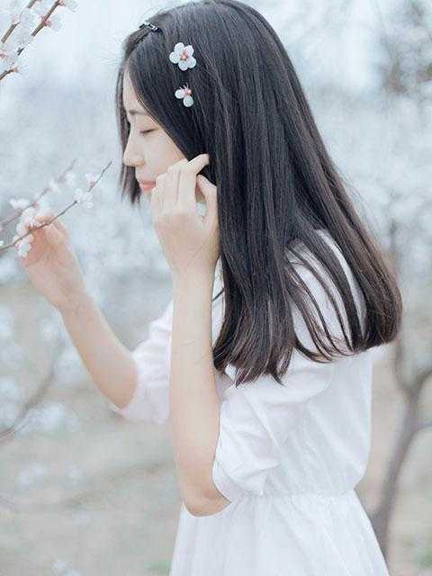 宿火送她别兽王