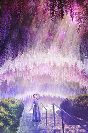恶女觉醒，深陷君臣修罗场