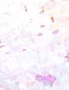 秦绥慕岑知乎
