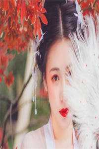 天价二婚妻