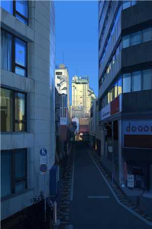 全文小说天引霖芷雪