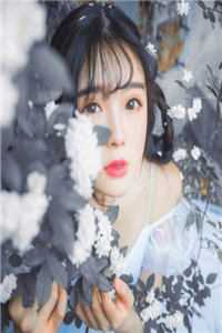 首辅娇娘