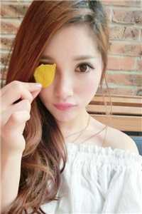 龙婿归来