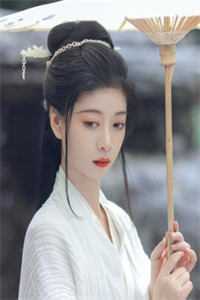 如意小赘婿