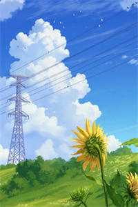 苏宇林盼曦