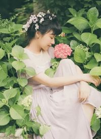 我拿兄弟来开局畅销