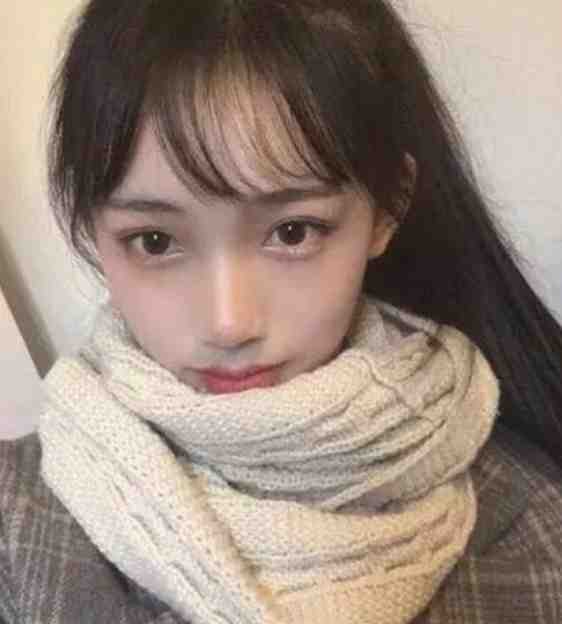 沈宴昭安萌