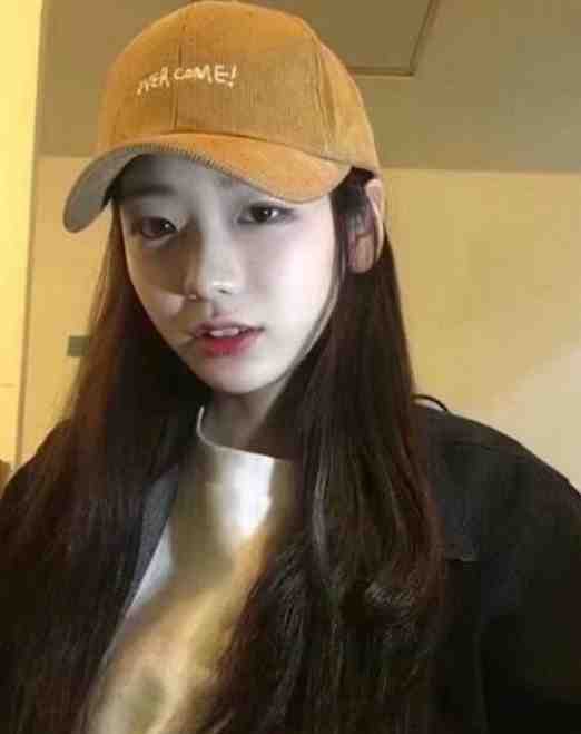 桑浅陆准小说