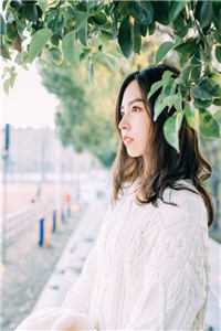 重生之诛仙富婆团
