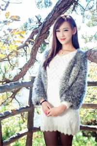 庭雪照空明