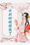 孙尚香之孤凰入蜀