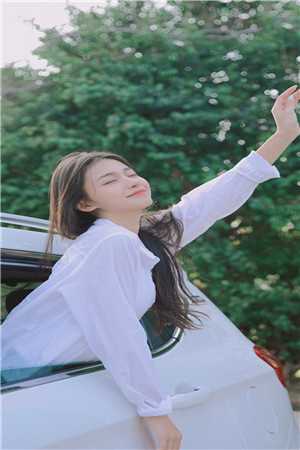 顾倾城京澜辰免费阅读