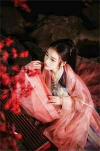 《古墓秘符之暗影追踪》