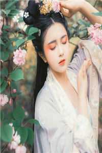 城里的军官一直向我示好