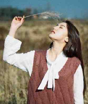 母亲的蓝绣球