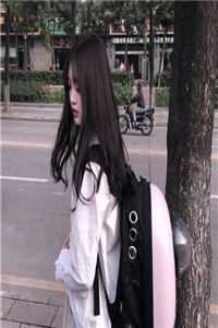 凤凰羽