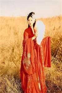 洪武七年，我在女儿村当赘婿