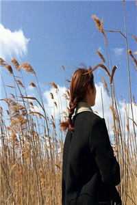 用功勋换休妻，我官居一品你哭啥？