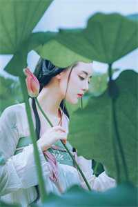 未婚夫为了白月光要虐我，没关系我还有六个