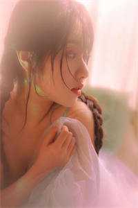 众愚之墙