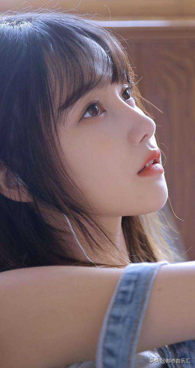 不与鹤长眠