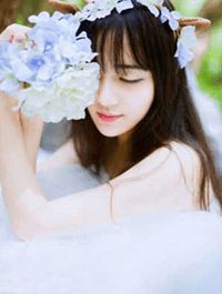 折玫瑰知乎